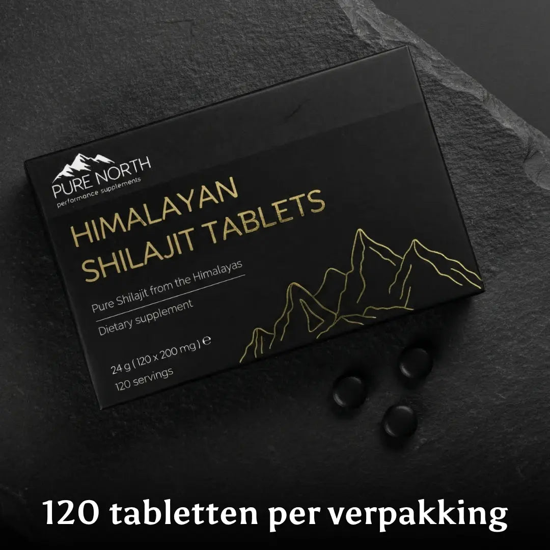 Pure North Himalayan Shilajit Tablets