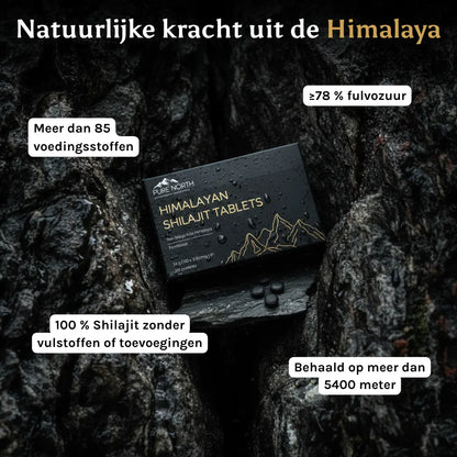 Pure North Himalayan Shilajit Tablets