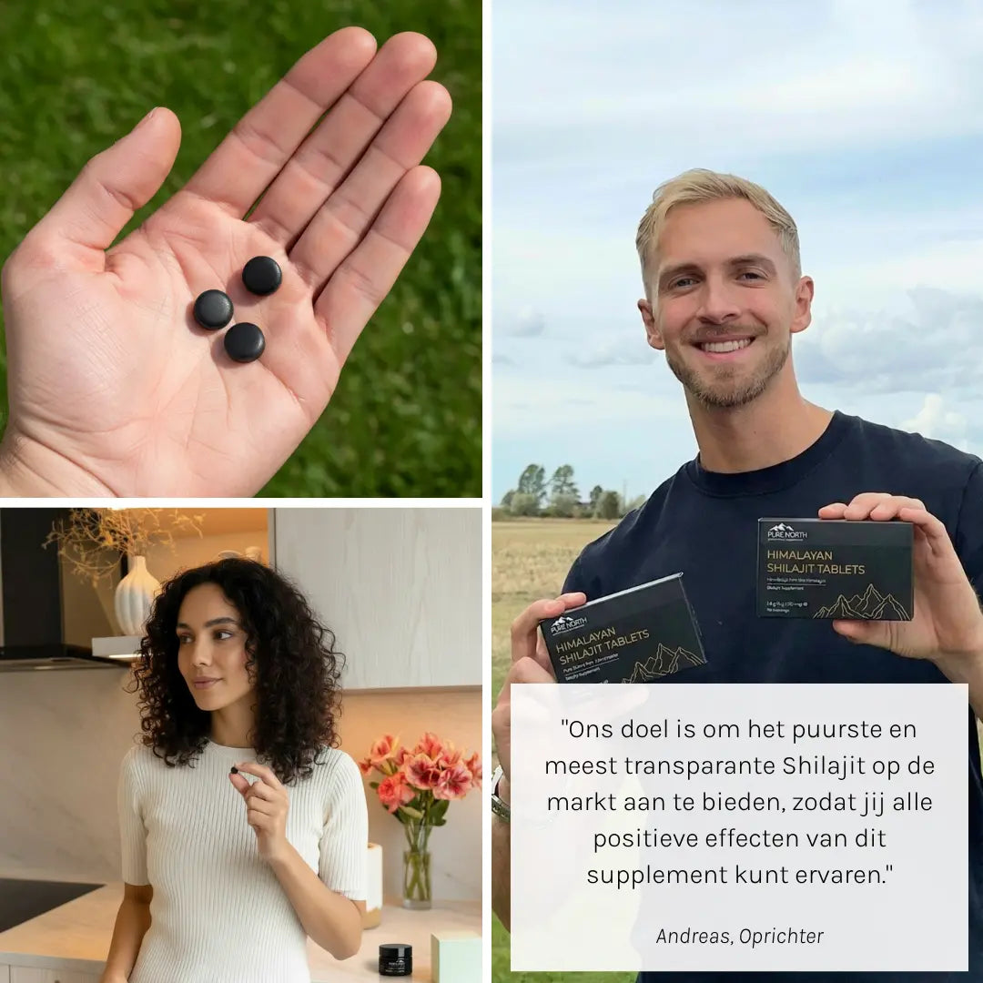 Pure North Himalayan Shilajit Tablets